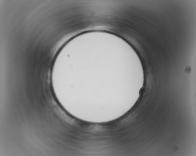 X0000110741420200907131110