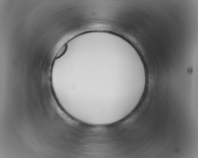 X0000110741421200907131110