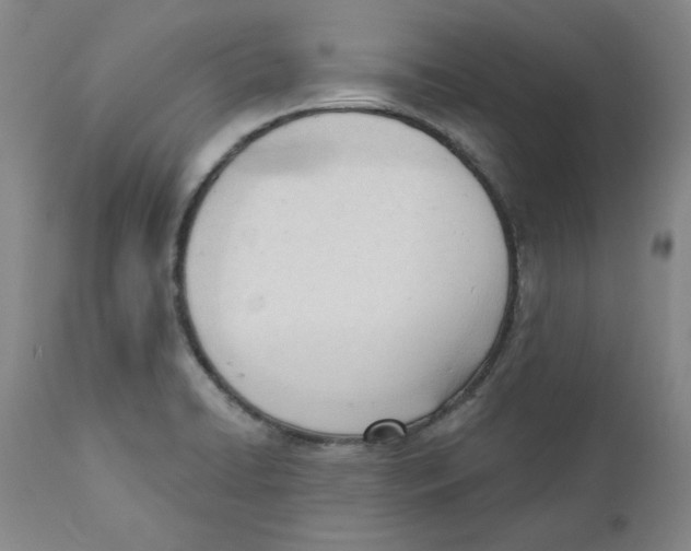 X0000110741422200907131110