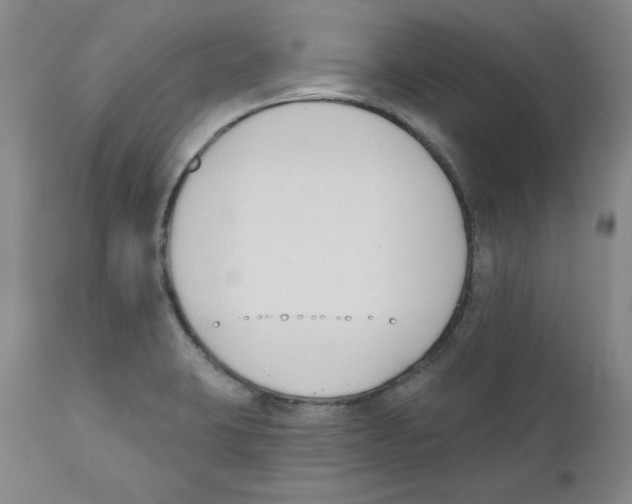 X0000110741423200907131110