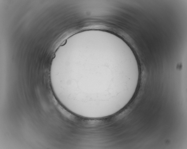 X0000110741425200907131110