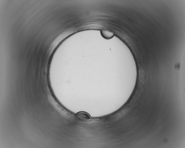 X0000110741426200907131110