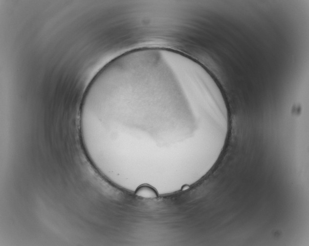 X0000110741428200907131110