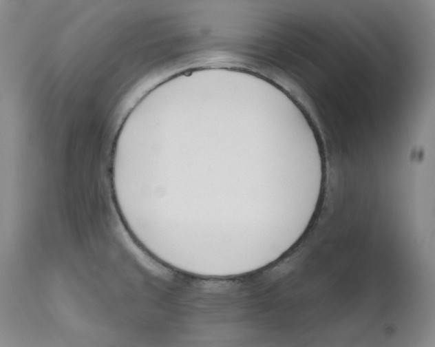 X0000110741429200907131110