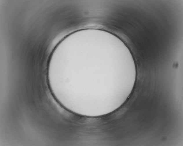 X0000110741430200907131110