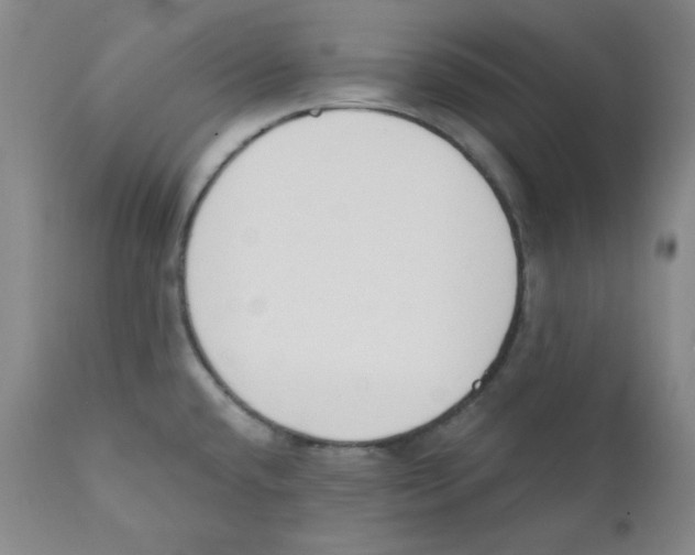 X0000110741432200907131110