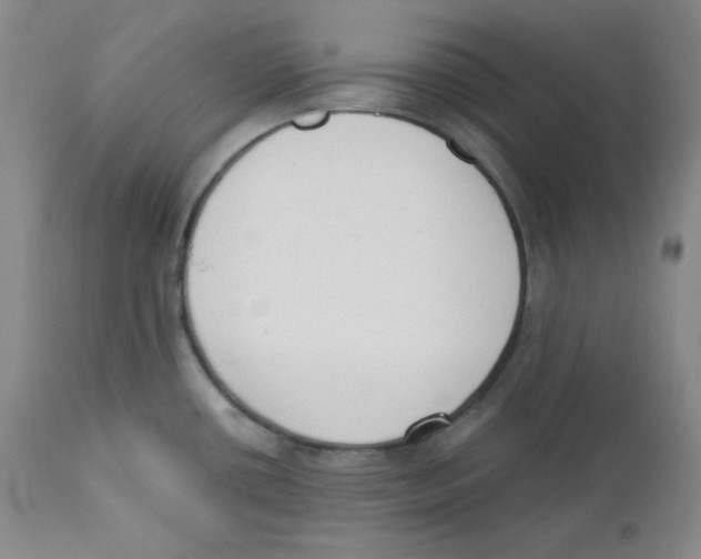 X0000110741434200907131110