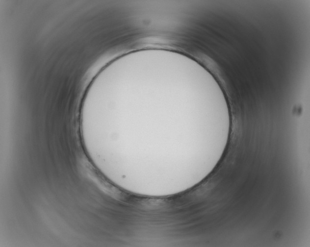 X0000110741435200907131110