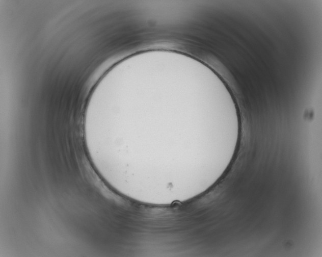 X0000110741436200907131110
