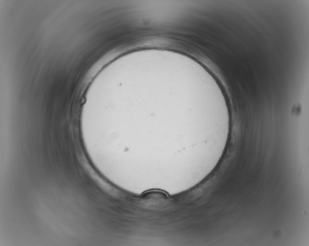 X0000110741437200907131110