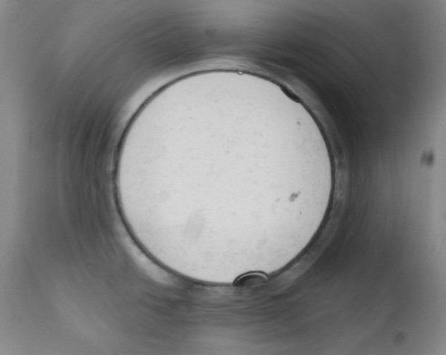 X0000110741438200907131110