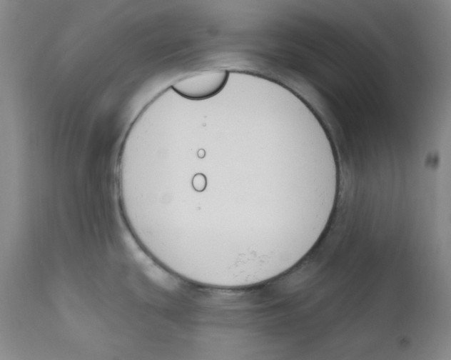 X0000110741439200907131110