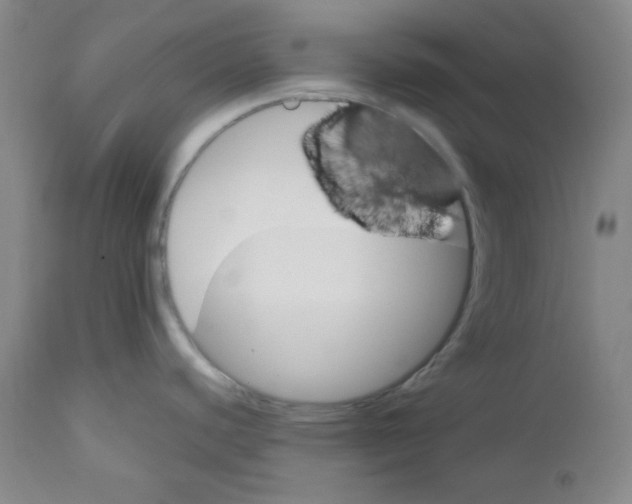 X0000110741440200907131110