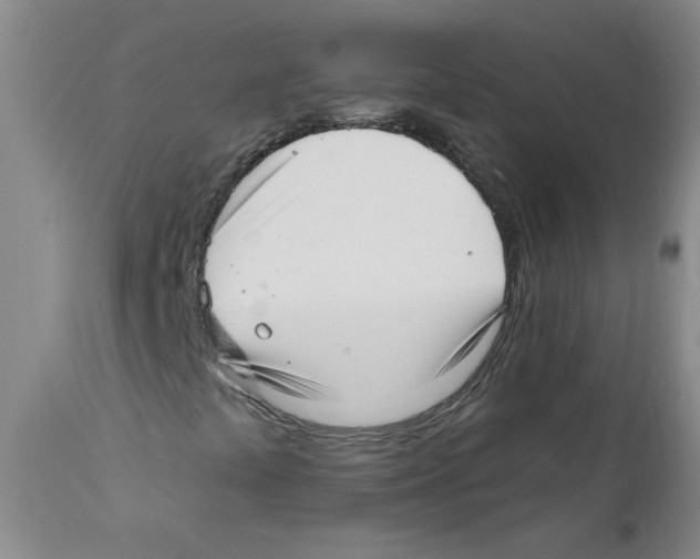 X0000110741441200907131110