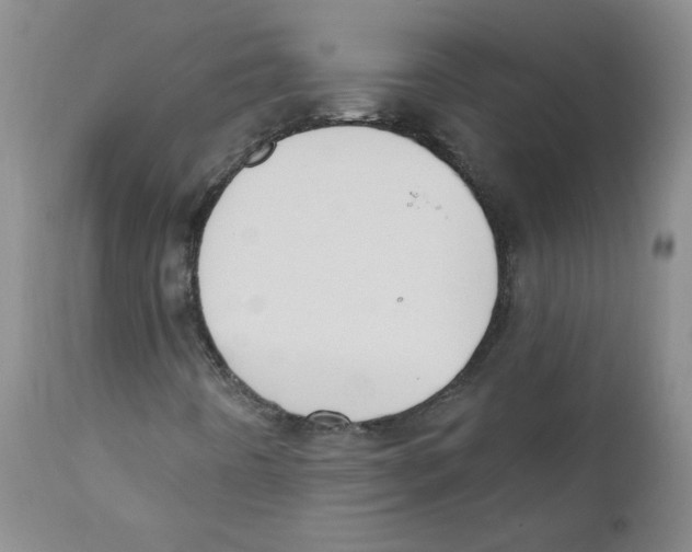 X0000110741442200907131110