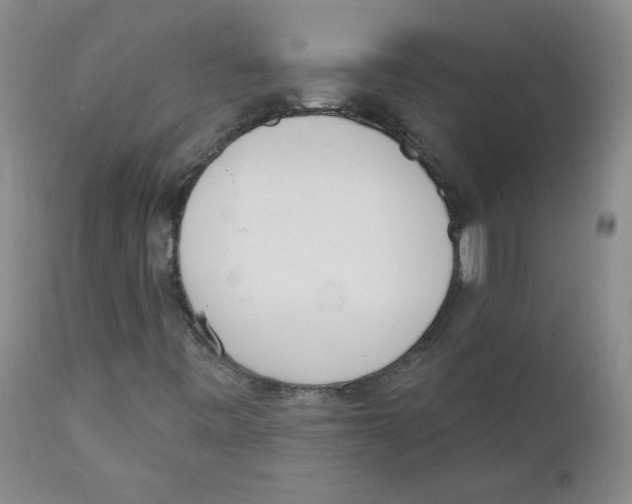 X0000110741443200907131110