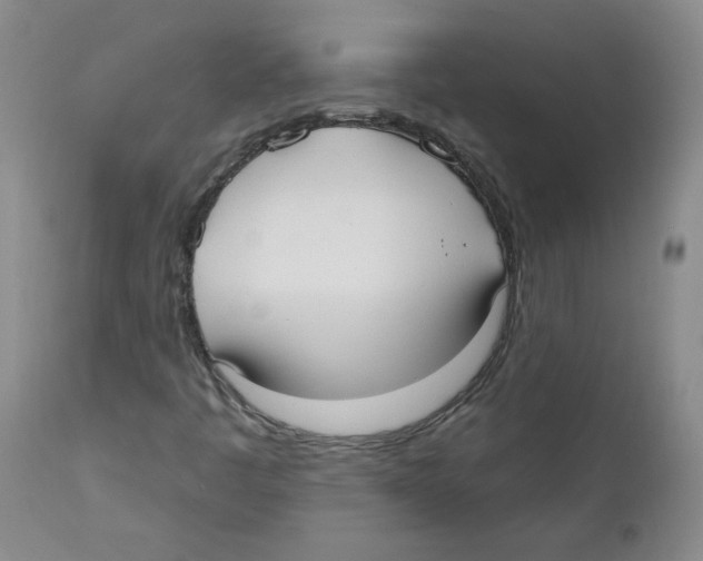X0000110741445200907131110
