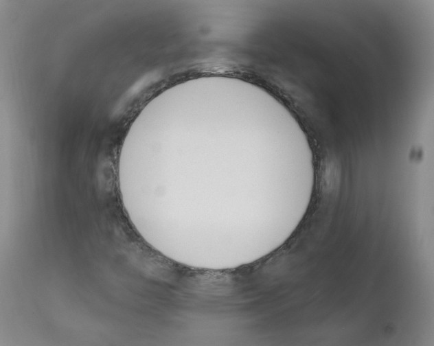 X0000110741446200907131110