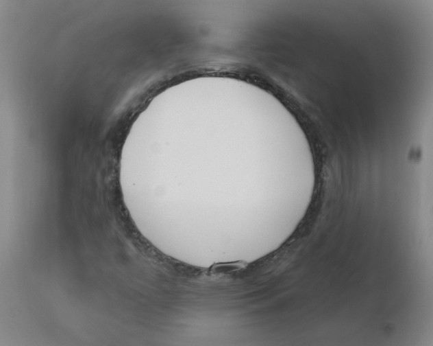X0000110741447200907131110
