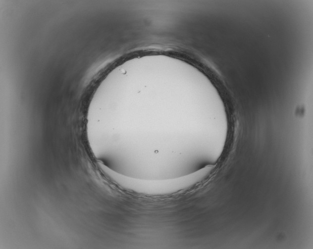 X0000110741448200907131110
