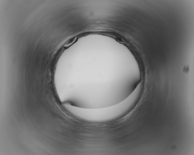X0000110741449200907131110