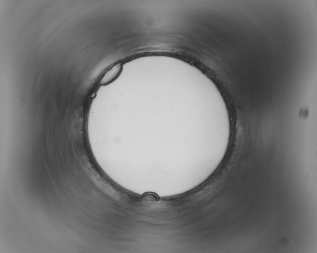 X0000110741450200907131110