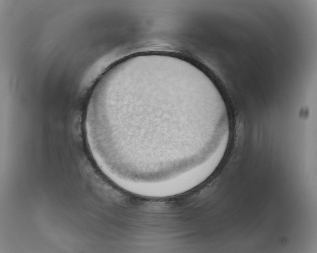X0000110741455200907131109