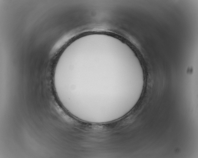 X0000110741456200907131109