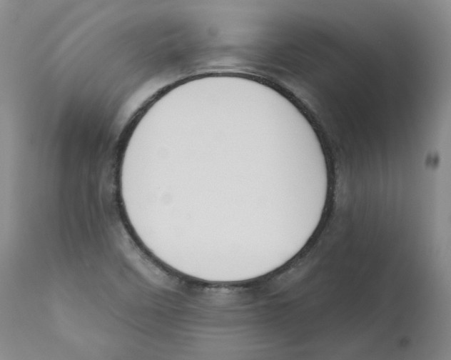 X0000110741458200907131109