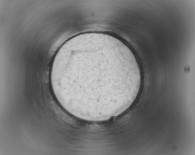X0000110741459200907131109
