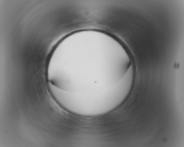 X0000110741460200907131109