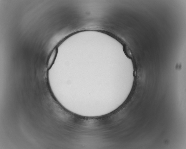 X0000110741461200907131109