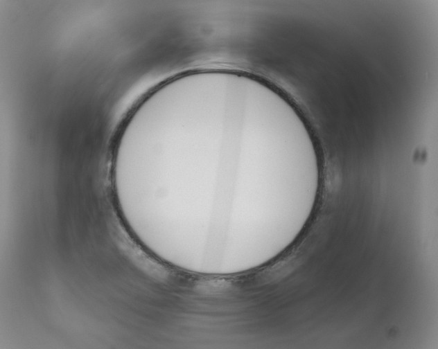 X0000110741462200907131109