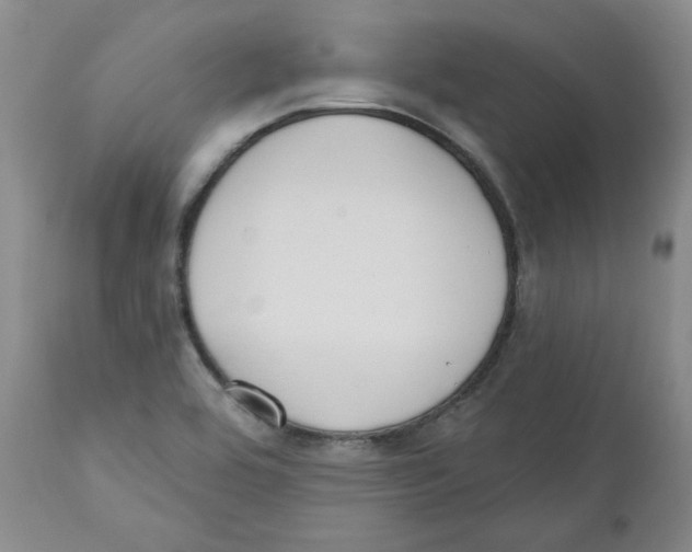X0000110741464200907131109