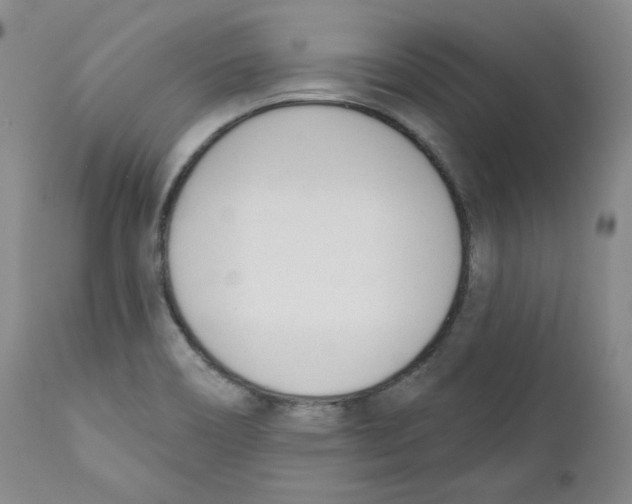 X0000110741466200907131109