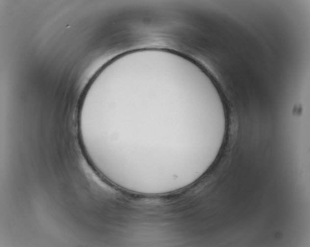 X0000110741468200907131109