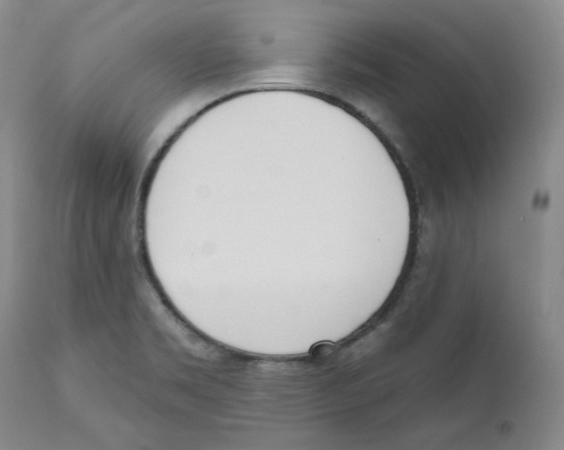 X0000110741469200907131109