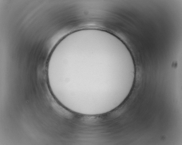 X0000110741474200907131109