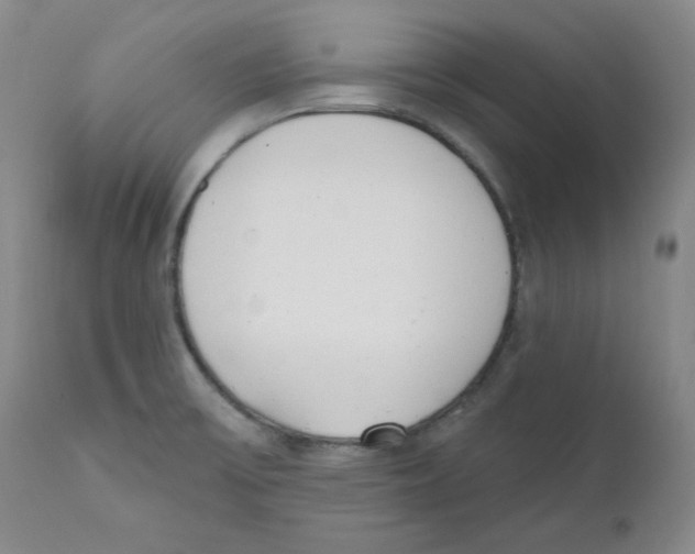 X0000110741475200907131109