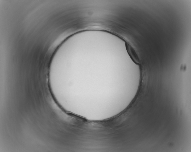 X0000110741476200907131109