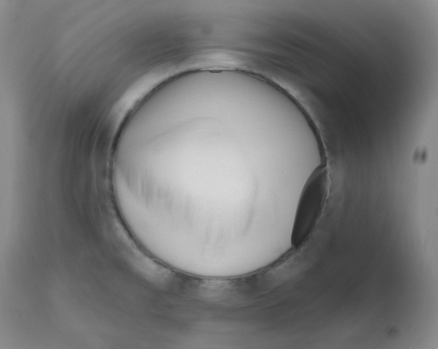 X0000110741477200907131109