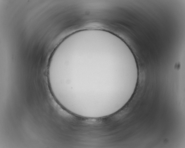 X0000110741478200907131109