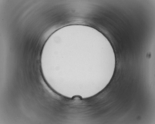 X0000110741479200907131109