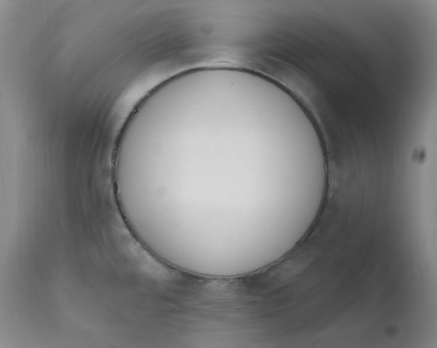 X0000110741480200907131109