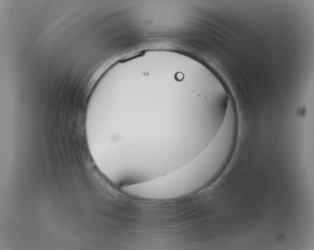 X0000110741481200907131109