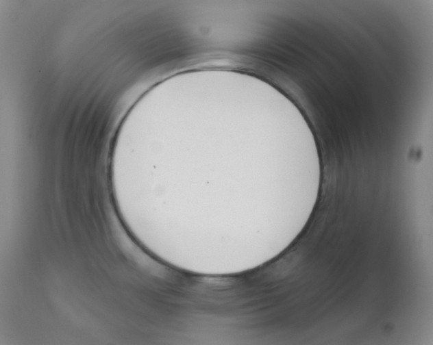 X0000110741483200907131109