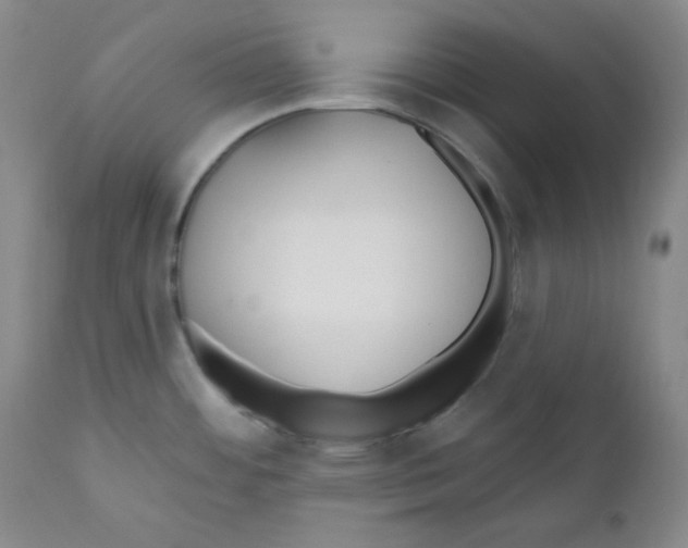 X0000110741484200907131109