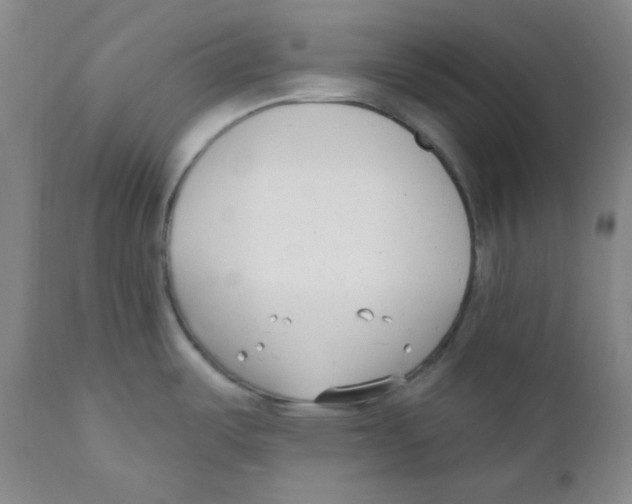 X0000110741487200907131109