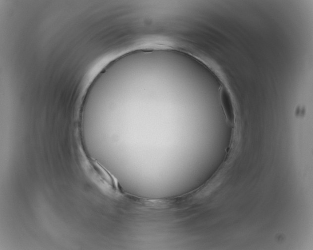 X0000110741488200907131109
