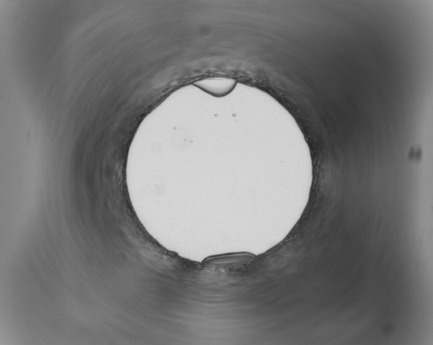 X0000110741489200907131108
